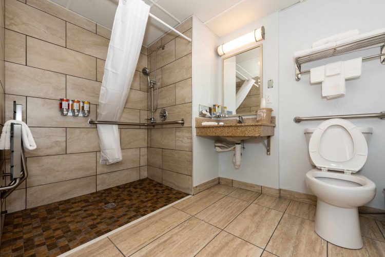 Hotel Pommier Accessible Shower Option